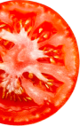 Слой 1 1